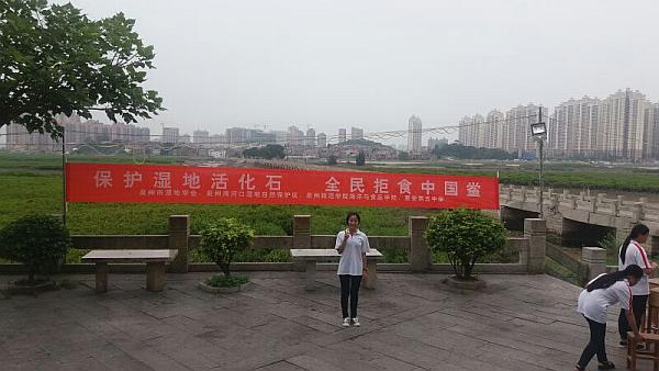 海洋与食品学院参与开展 “美丽七夕 幸福守‘鲎’”公众宣传活动