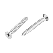 不锈钢自攻螺丝系列